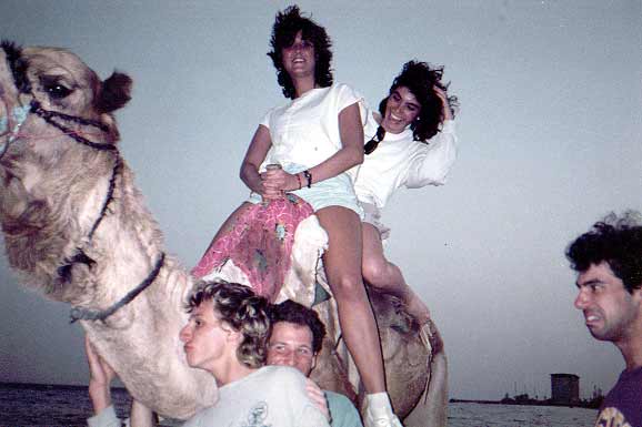 mycamelbg.jpg