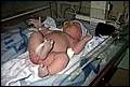baby1.jpg