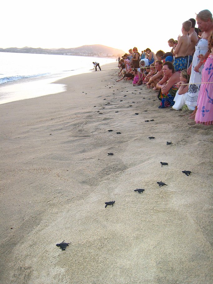 cabo 058.JPG