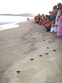 cabo 058.JPG