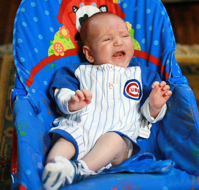 cubs.jpg