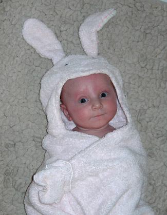 bunny.jpg