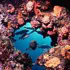 barrierreef.jpg