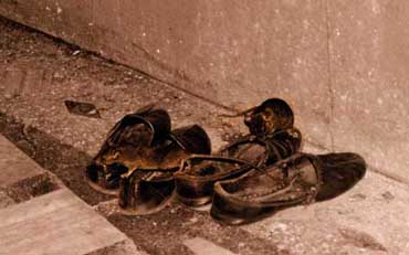 Scurrying in shoes!!!