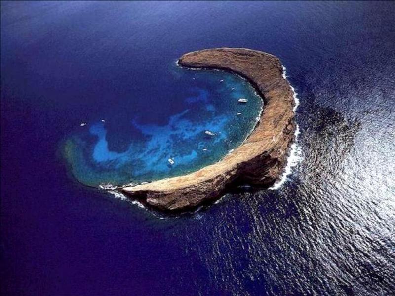 tahiti1.jpg