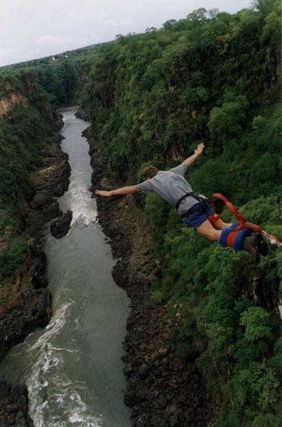 bungy.jpg